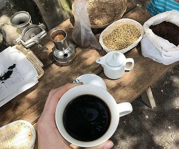 ホテル Eco Hacienda 2*